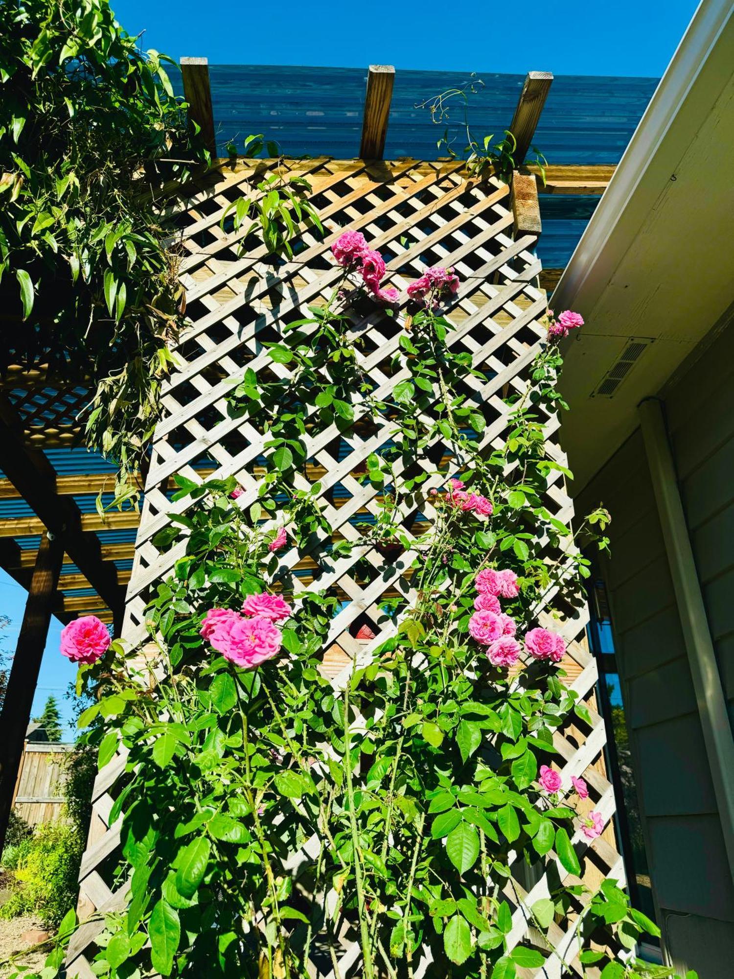 فيلا Colorful 50'S Ranch In The Heart Of يوجين، أوريغون المظهر الخارجي الصورة